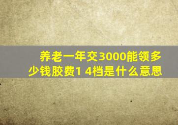 养老一年交3000能领多少钱胶费1 4档是什么意思